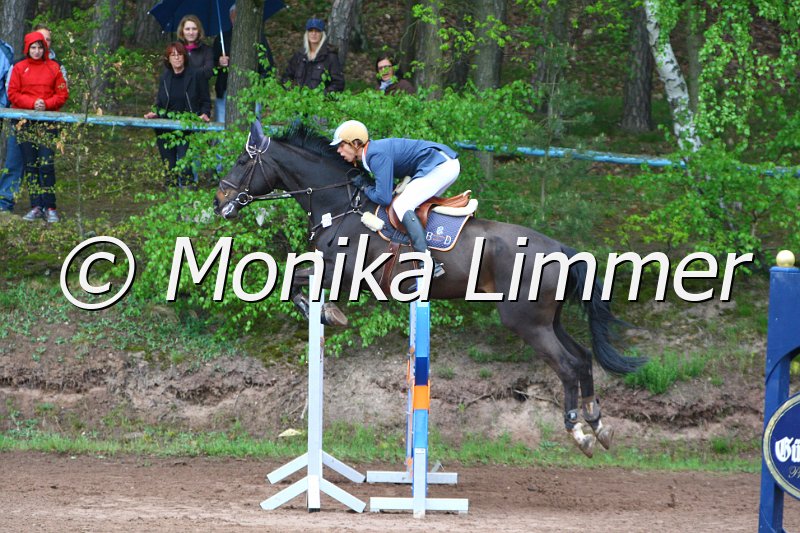 005L5304_Paco_Spring M mit Stechen.JPG